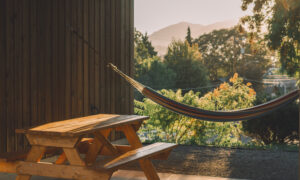 A terrace with a hammock and wooden picnic table overlook a forested neighbourhood